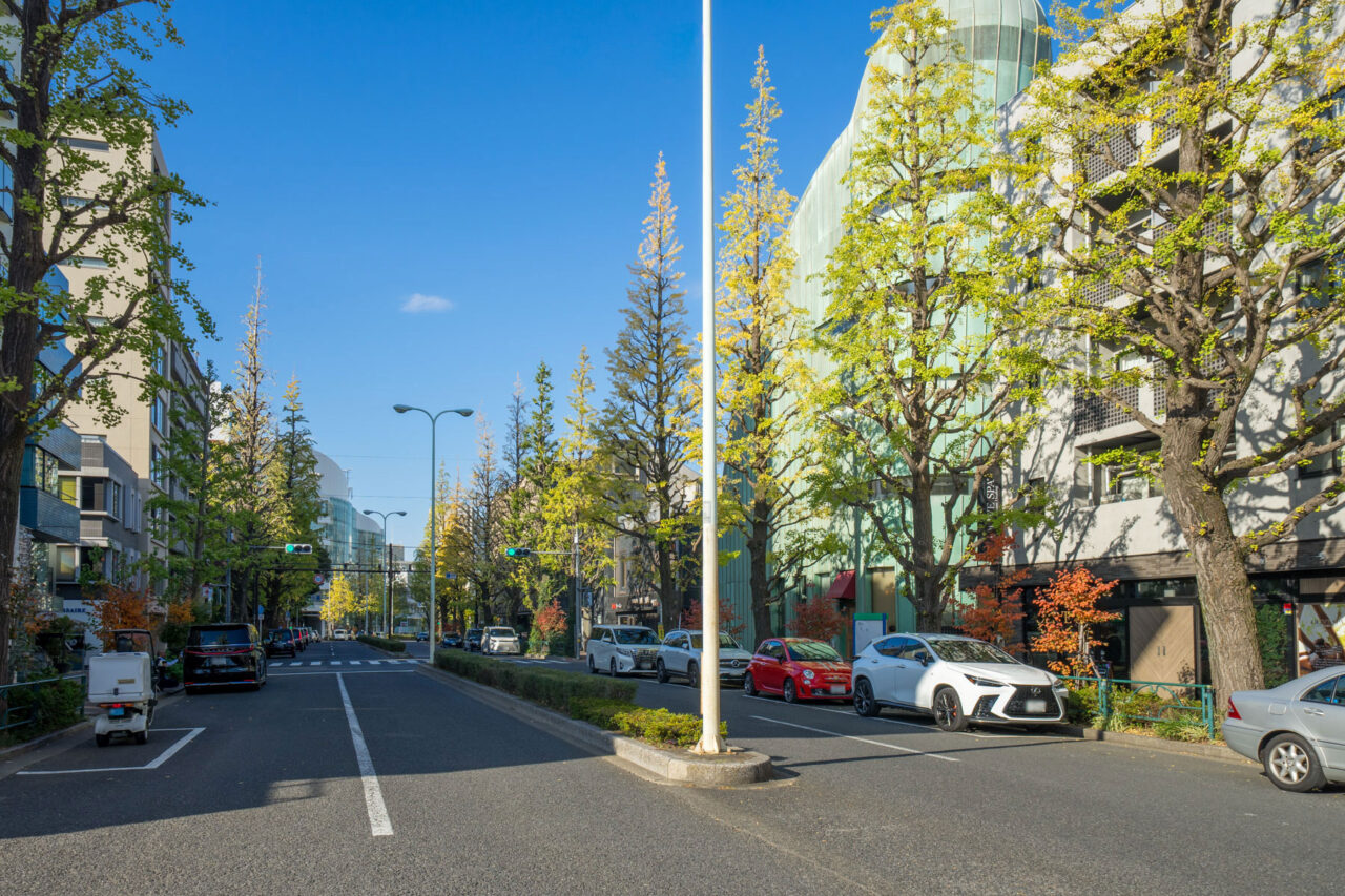 感性を磨き、豊かな暮らしを描ける街「白金台」