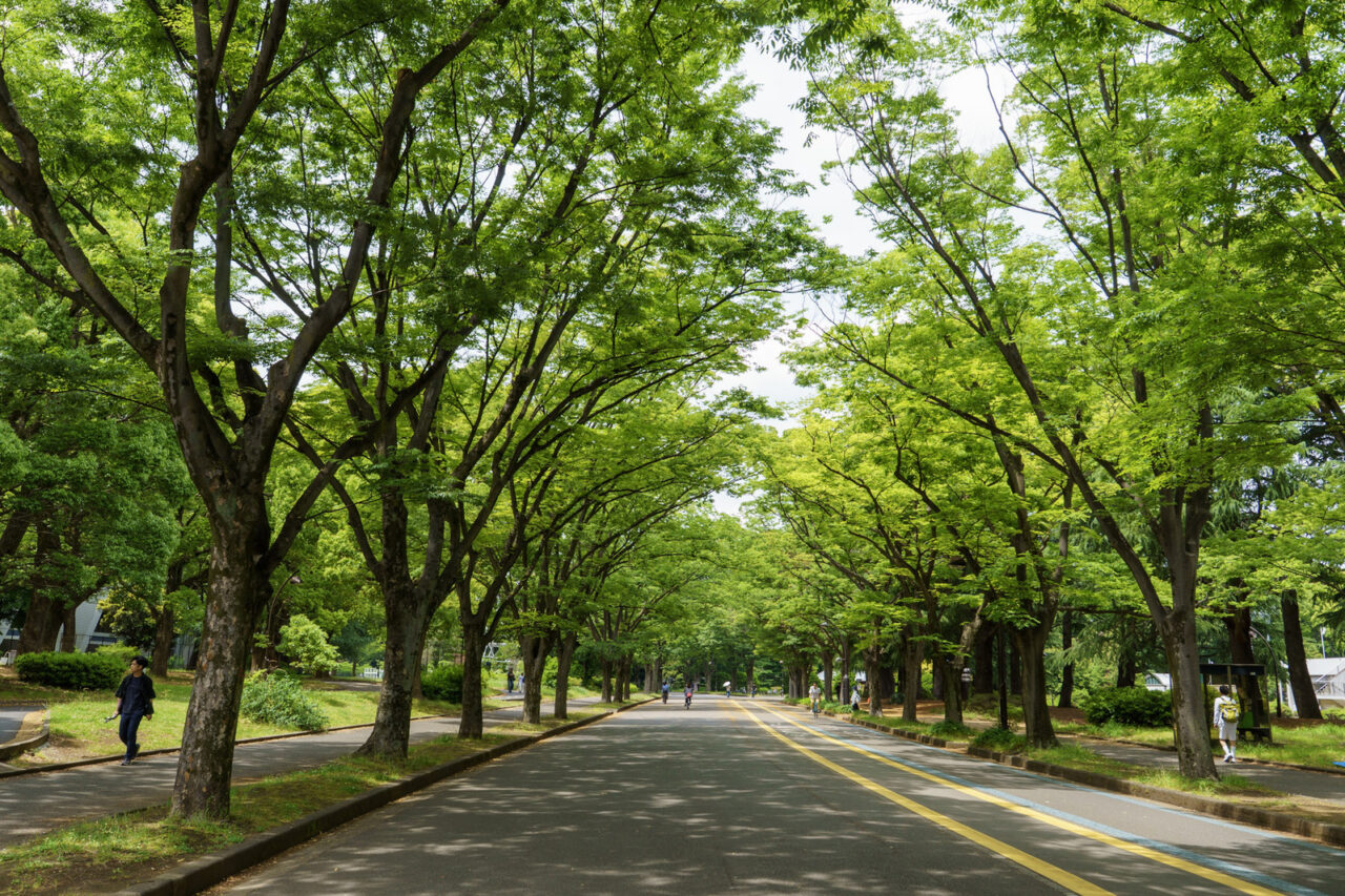 「駒沢」エリアで公園を中心に暮らしを育む